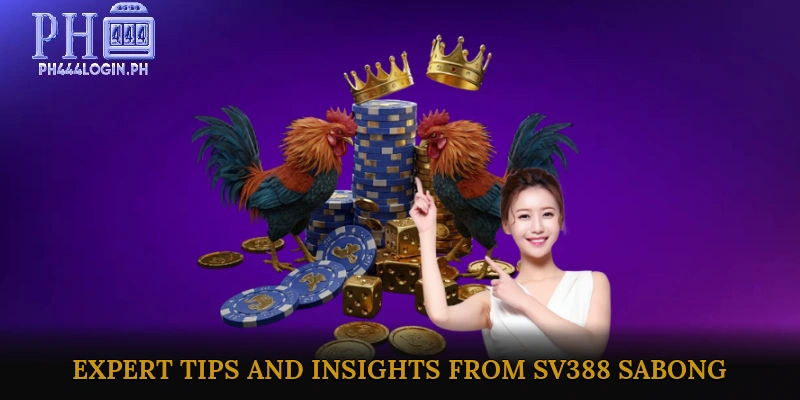 Expert Tips and Insights from SV388 Sabong Masters