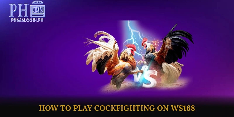How to Play Cockfighting on WS168
