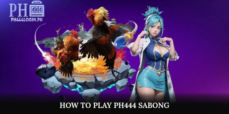 How to Play PH444 Sabong