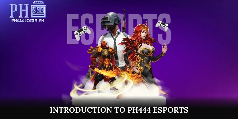Introduction to PH444 e-Sports