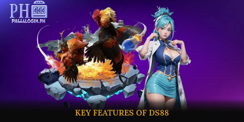 Key Features of DS88