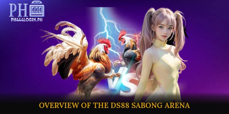 Overview of the DS88 Sabong Arena