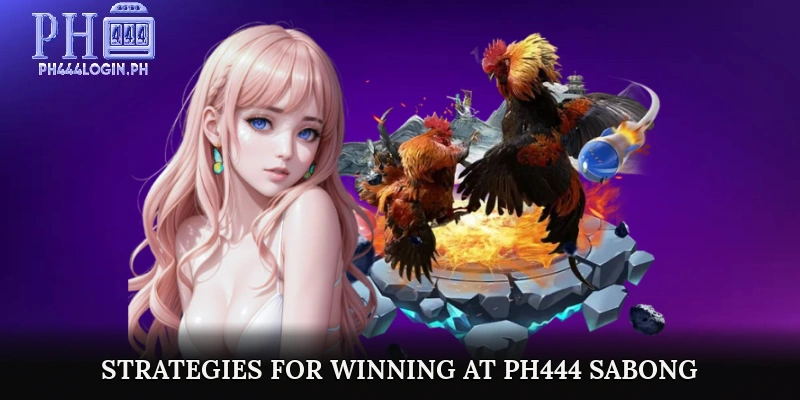 Tips and Strategies for Winning at PH444 Sabong