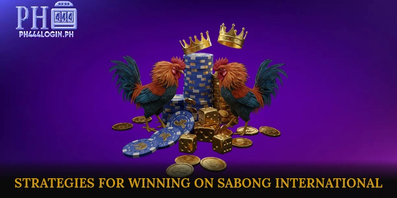 Basic Tips and Strategies for Winning on Sabong International