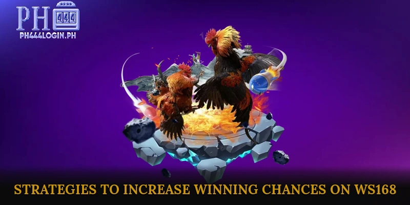 Strategies to Increase Winning Chances on WS168