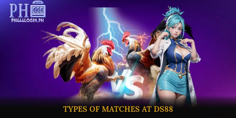 Types of Matches at DS88