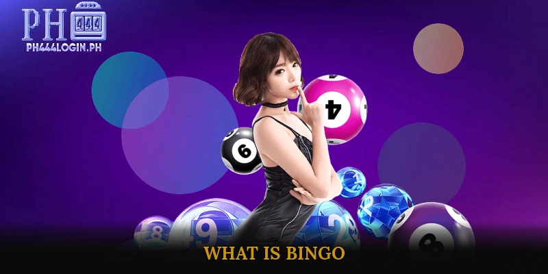 What is Bingo?