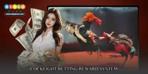 cockfight betting reward system